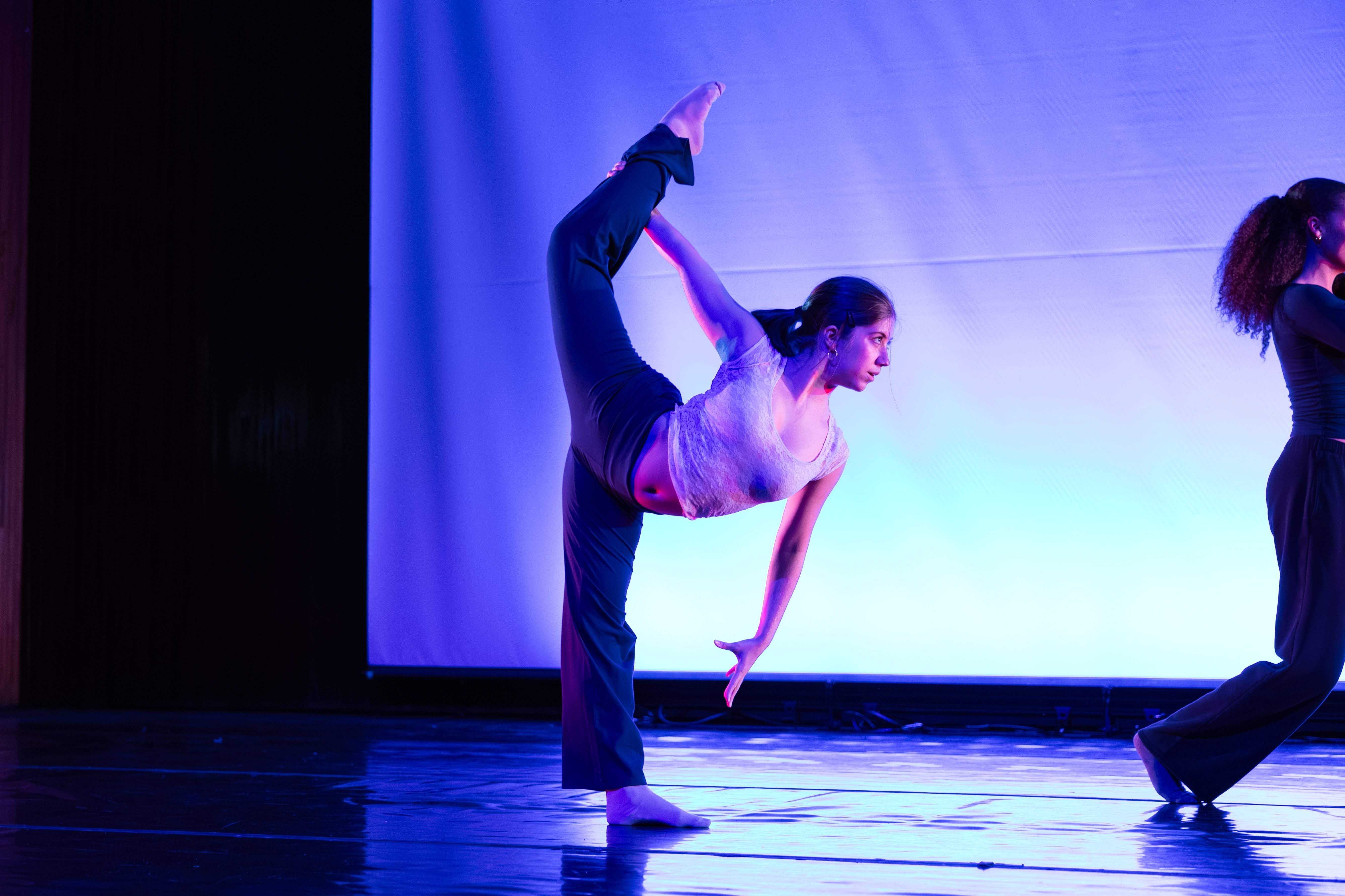 The Arts photograph 21